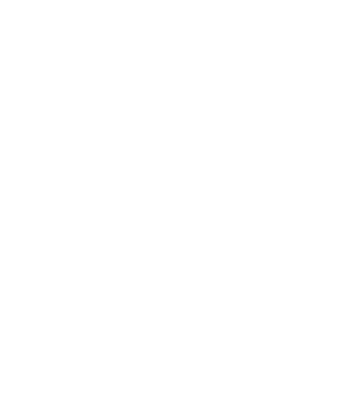 Raptor F22