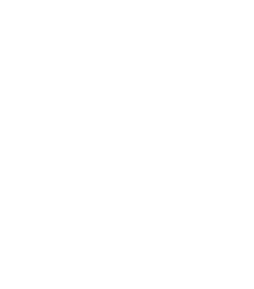 Hornet F/A18