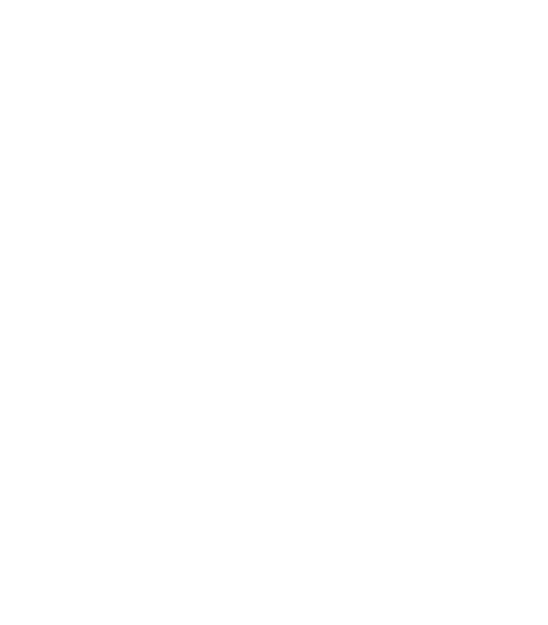 Chengdu J20