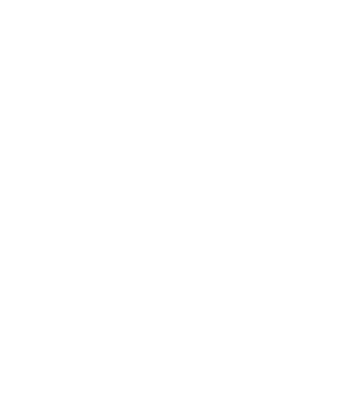 MIG 15