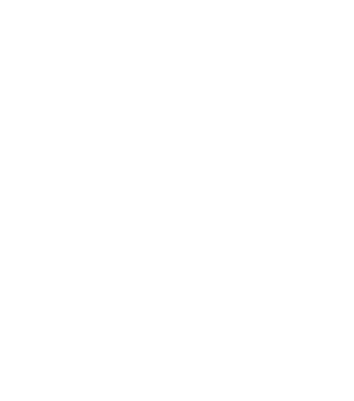 MIG 29