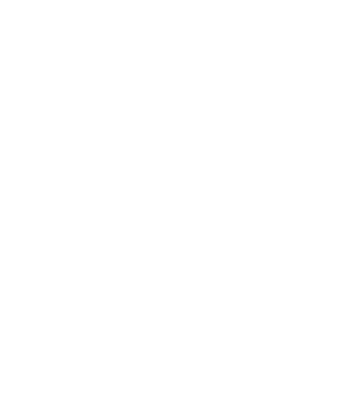 Thunderbolt II A10