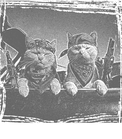 Kočky, nasraný kočky, černý tisk