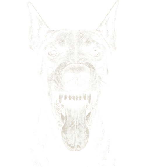 Dobrman