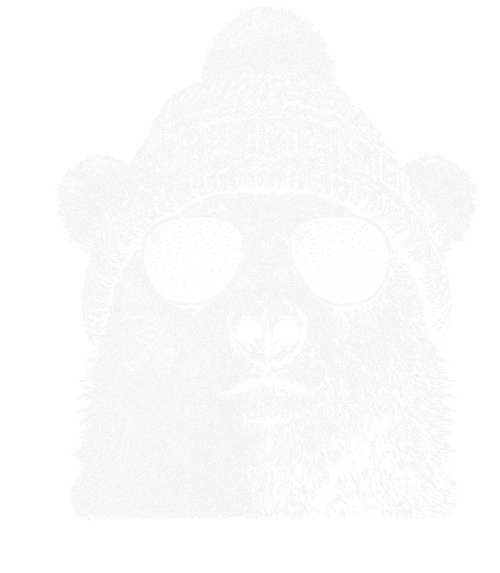 Chill medvěd - Obrázek 2
