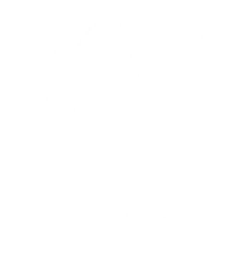 Jack-russell teriér, bílý tisk - Obrázek 2