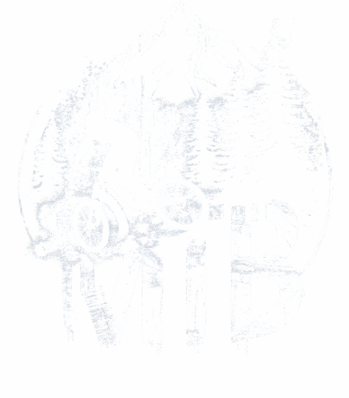 MTB - Mountain bike, horské kolo, v3 - Obrázek 2