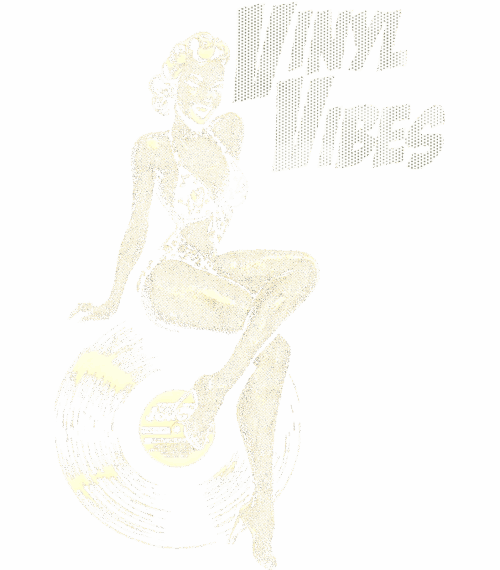 Vinyl Vibes - Obrázek 2