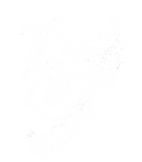 Adrenalin na dráze, bílý tisk - Obrázek 2