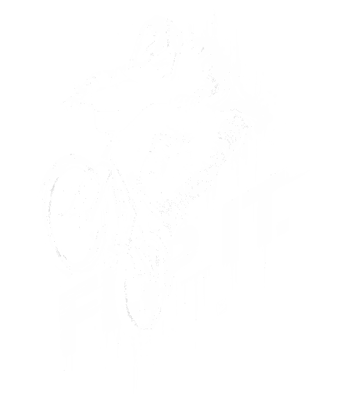 Flip it! Bílý potisk - Obrázek 2