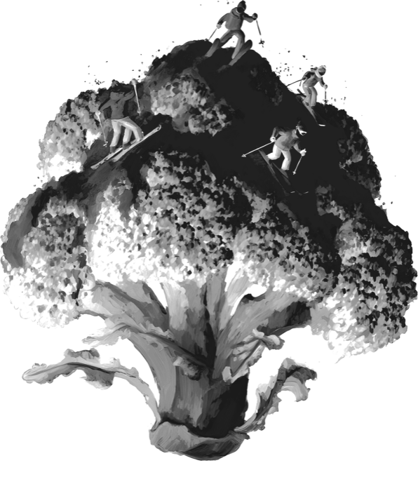 Brokolicový sjezd, černý tisk Brokolicový sjezd, černý tisk - Obrázek 2