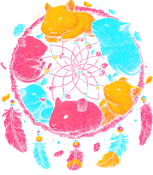 Lapač snů, morče Lapač snů, morče - Obrázek 2