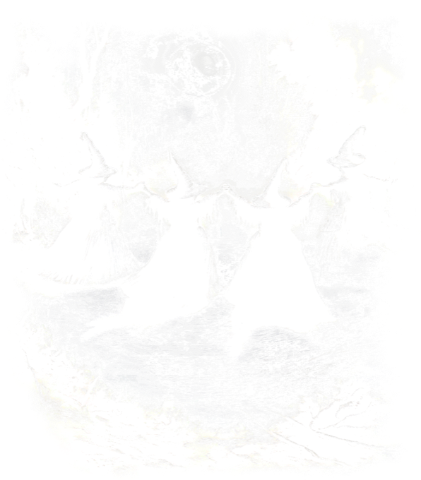 Rituál v temném lese Rituál v temném lese - Obrázek 2