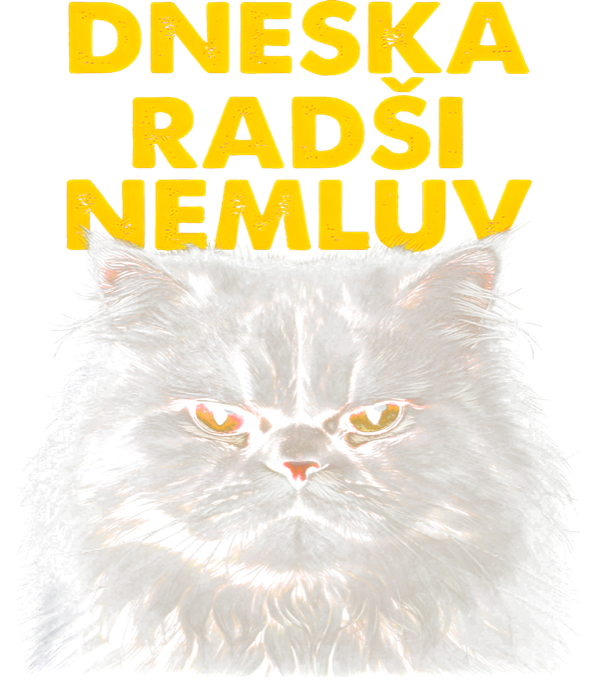Dneska radši nemluv Dneska radši nemluv - Obrázek 2