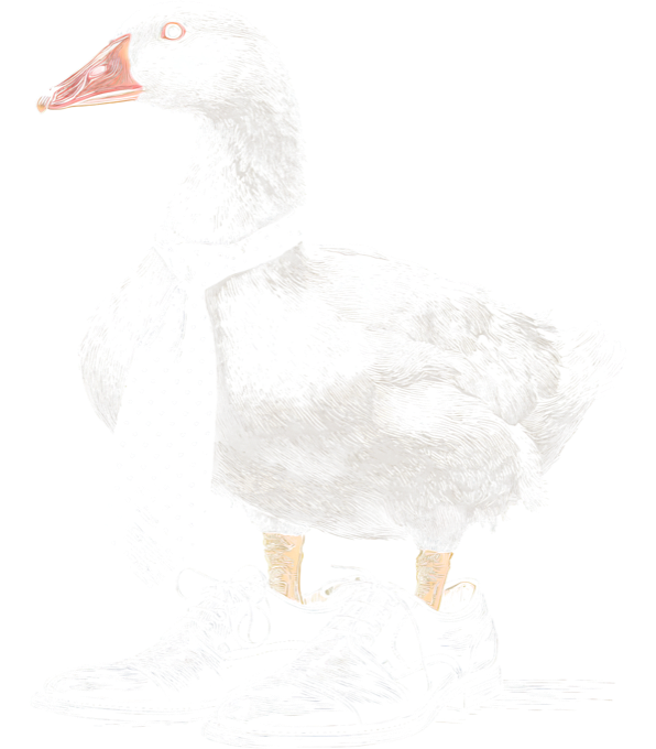 Elegantní husa Elegantní husa - Obrázek 2