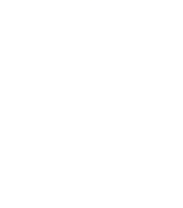 Lev a pušky, bílý tisk Lev a pušky, bílý tisk - Obrázek 2