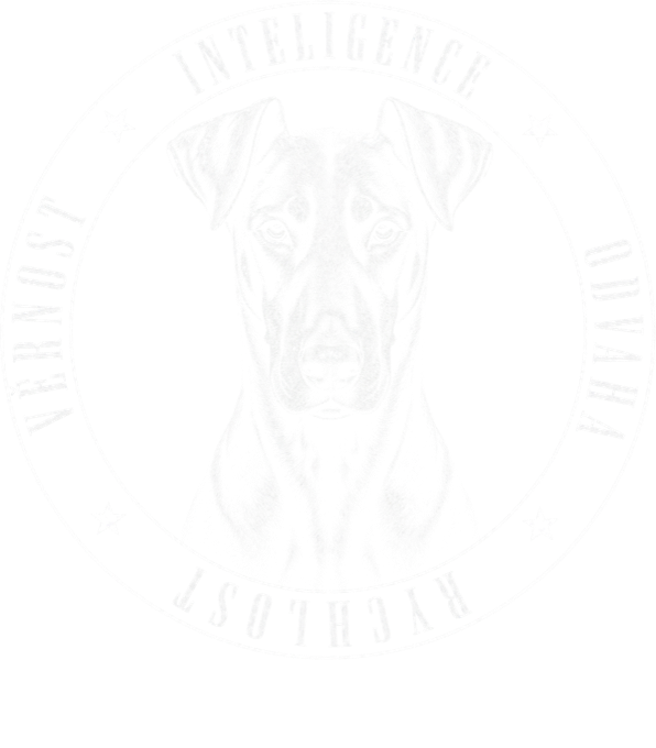 Dobrman vlastnosti Dobrman vlastnosti - Obrázek 2
