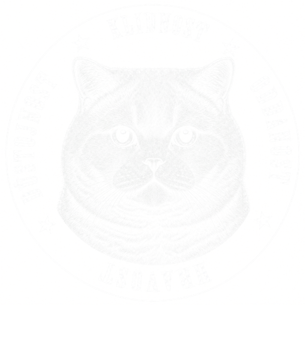 Britská krátkosrstá kočka Britská krátkosrstá kočka - Obrázek 2